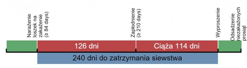 Rys.1 Czas ekspozycji loszek remontowych&nbsp;
